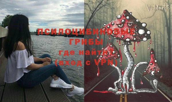 прущие крисы Алзамай