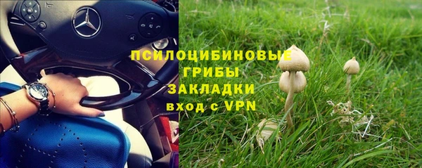 прущие крисы Алзамай