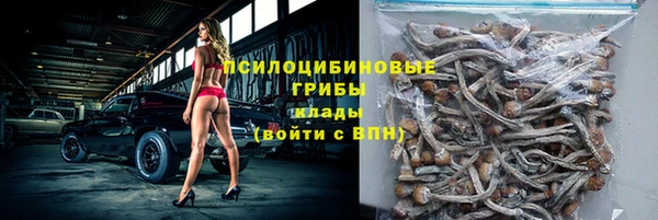 твердый Алексин